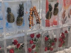 -盛京大奥莱(沈阳奥体店)