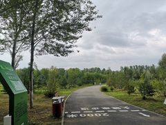 -东郊湿地公园