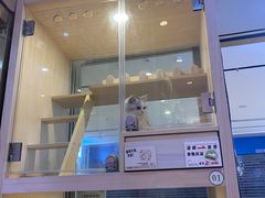 -爪爪喵星球·猫舍(前海卓越店)