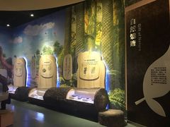 -陕西自然博物馆