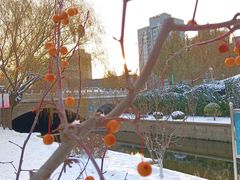 -元大都城垣遗址公园