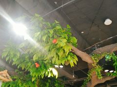 -蕃茄述·好汤自然来(江汉路店)