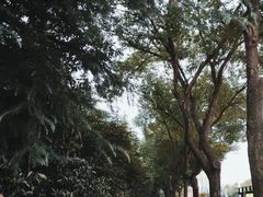 -侵华日军南京大屠杀遇难同胞纪念馆