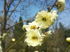 -西部兰花园生态园