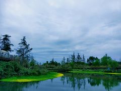 -桤木河湿地公园