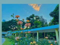 -人民公园(罗湖区)