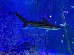 -沈阳海洋探索中心