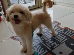 -纳吉亚猫专科动物医院博雅分院