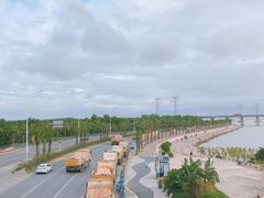 -宝安西湾红树林湿地公园