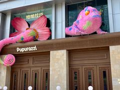 -帕帕拉兹宠物(亚洲旗舰店)