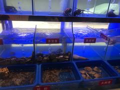 -小龍鳳·港式海鲜打边炉(沙湖路店)