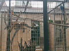 -石家庄市动物园