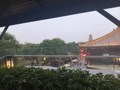 -德发长·花式蒸饺(大唐不夜城店)