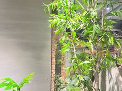 -蘸小院铁锅炖·蘸酱菜·东北菜(怀远门店)