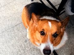 -简象咖啡CAFE ELE JANE(满陇桂雨店)