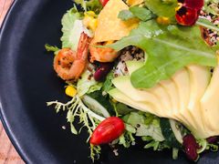 wkate&nbsp;salad&nbsp;威克特沙拉-威克特披萨汉堡
