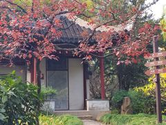 -秋霞圃