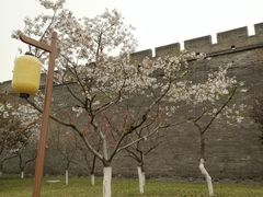 -西安城墙·碑林历史文化景区