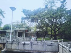 -大雁山风景区