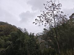 -栾川竹海野生动物园