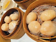 -美心皇宫(沙田大会堂店)