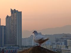 -西禅古寺售票处