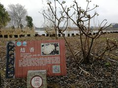 -梁鸿国家湿地公园