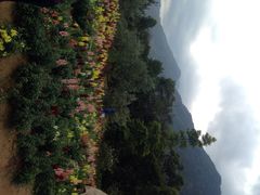 iphone_upload_pic-广州市流溪河国家森林公园