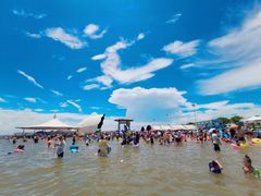 -碧海金沙
