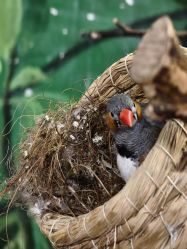 -Zoolung Zoolung动物主题公园(海信广场店)