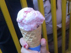 -郑州方特梦幻王国