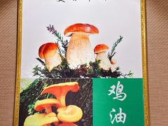 -菌之家·专业纯野生菌火锅·特色炒菌