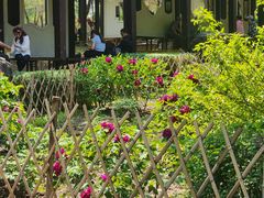 -黑龙江省森林植物园