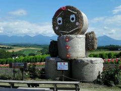 -富田农场