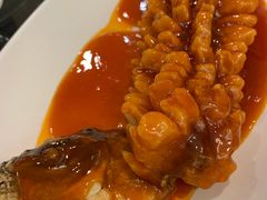 -刘胖子家常菜·蹄花焖藕(中南店)