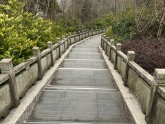 -四明山国家森林公园
