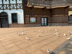 -沈阳方特欢乐世界