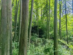 -波尔登森林公园