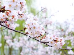 -公益图书馆(江南大学店)