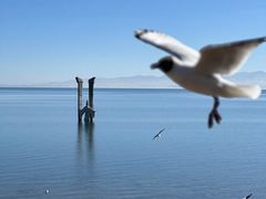 -青海湖国家重点风景名胜区