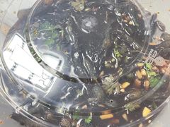 -翠茗农庄土菜馆(天目湖店)
