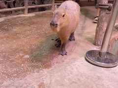 -正佳雨林生态植物园