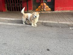 -首义路(地铁站)