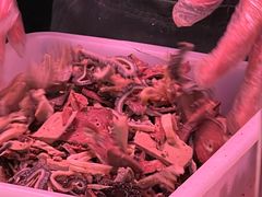 -洪记白水羊头(天坛店)