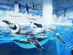 -石林冰雪海洋世界