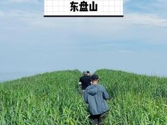 -枸杞岛