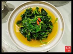 金汤豌豆尖-惠丰堂饭庄·烤鸭·京味菜(翠微路店)
