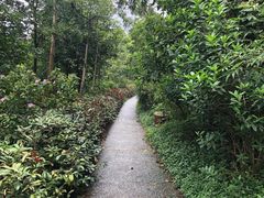 -云溪植物园