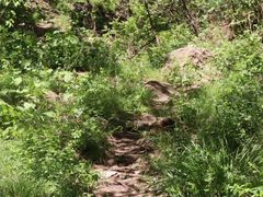 -百里山水画廊