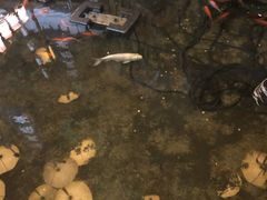 -淀里船宴(卓达店)